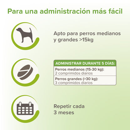 Beaphar - VERMIpure Desparasitante Interno Natural para Perros Grandes (+15kg)