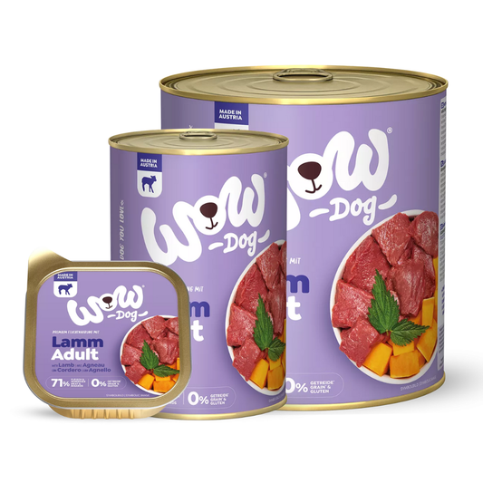 Chien WOW - Agneau