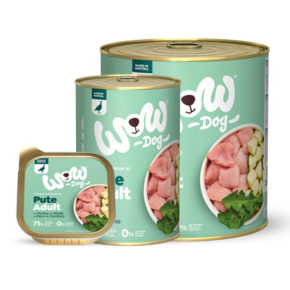 Chien WOW - Dinde
