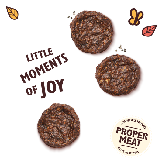 Lily's Kitchen - Snack Mini Burgers de Ternera para Perros