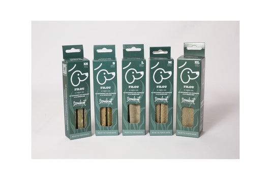 Evident - FILOU - Palito de queso con espirulina