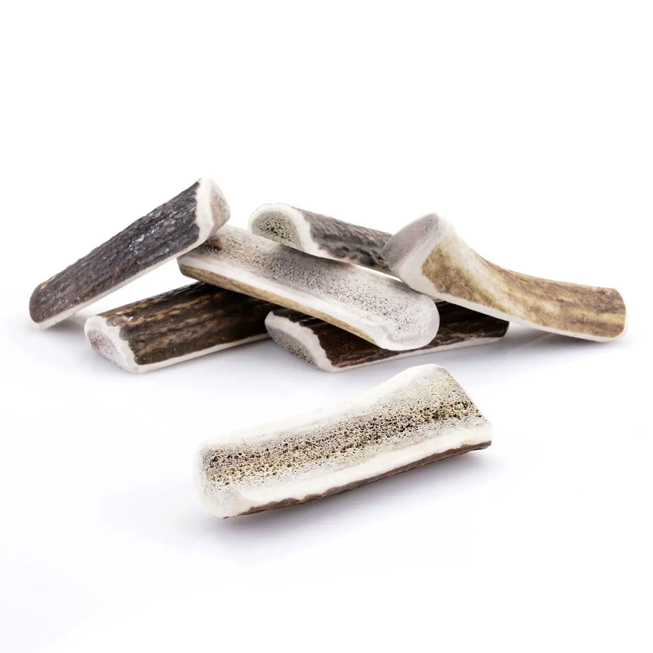 Asta de Ciervo Partida