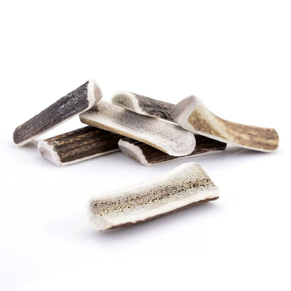 Asta de Ciervo Partida