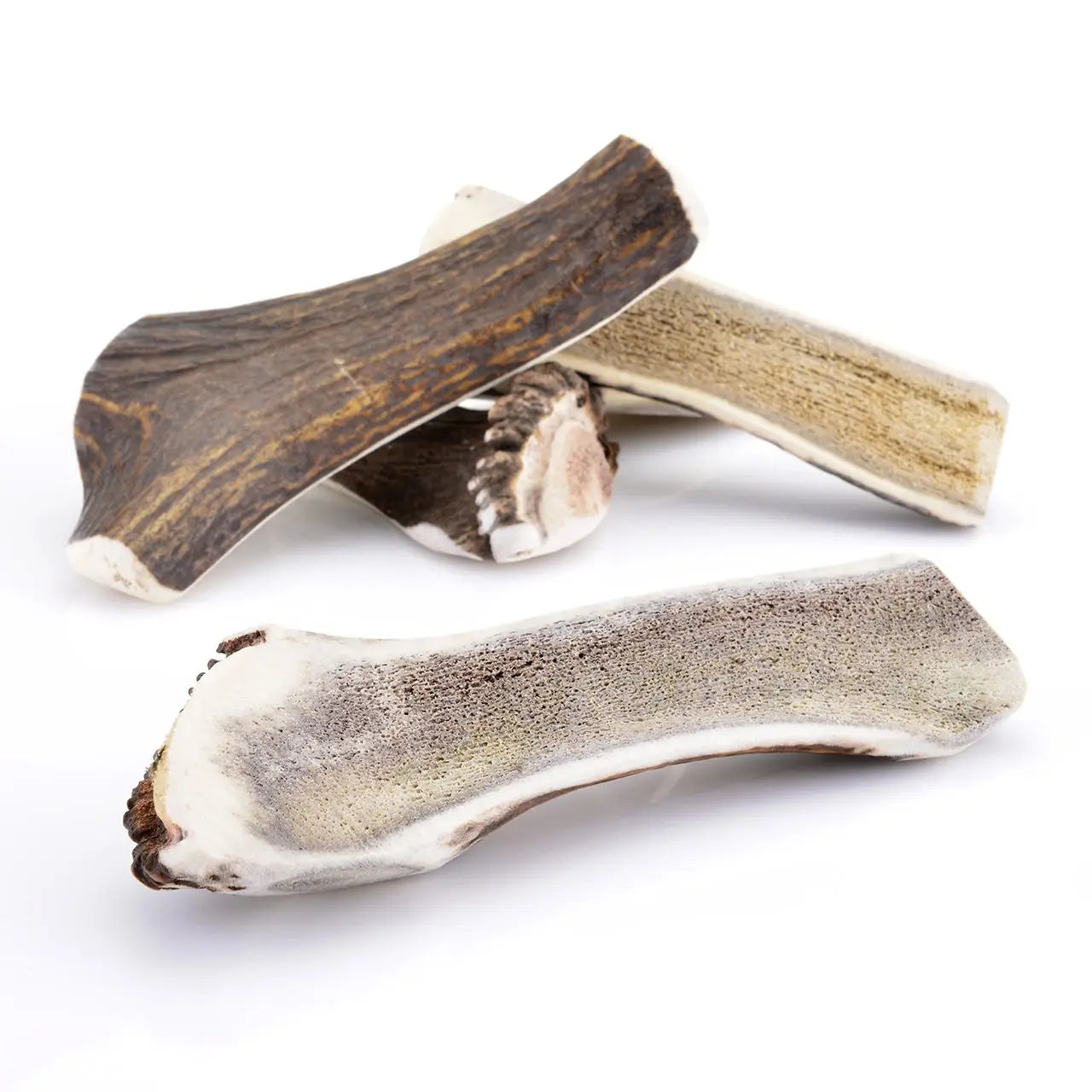 Asta de Ciervo Partida