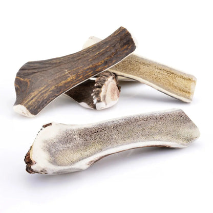 Asta de Ciervo Partida