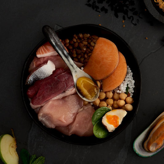 Canagan - Festín de las Highlands (pato, pavo, faisán, salmón)