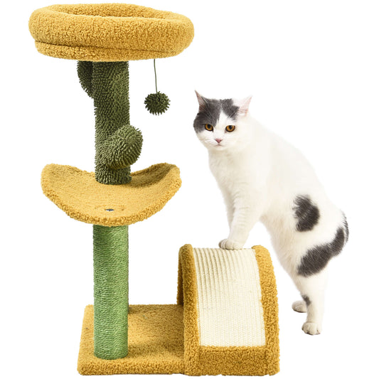 Premier CAT - Mon Cactus de Jardin (70cm)
