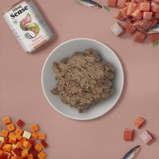 Dibaq Sense - Saumon 380g