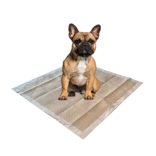 M-PETS - Tapis d'apprentissage écologiques en bambou pour chiots