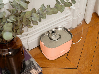 Bandit Fuente de Agua Eléctrica con Cable