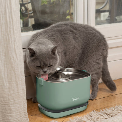 Bandit Fuente de Agua Eléctrica Inalámbrica