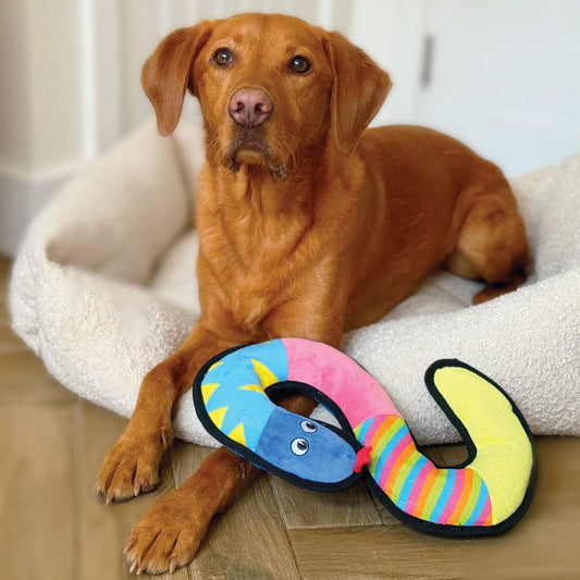 Great & Small Fortress Serpiente