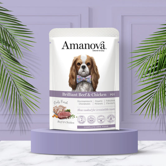 Amanova - Brilliant Beef & Chicken (Ternera y Pollo)