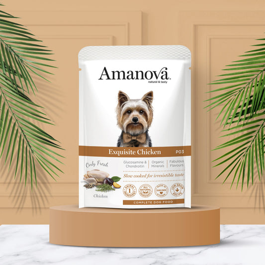 Amanova - Exquisite Chicken (Pollo)