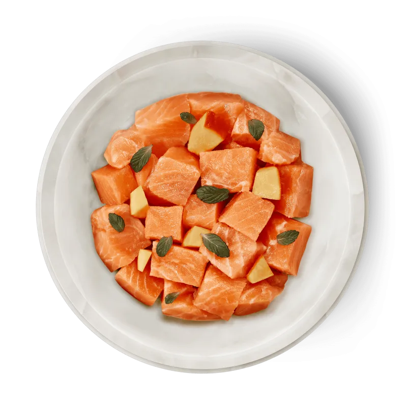 Terra Felis - Salmón 80g