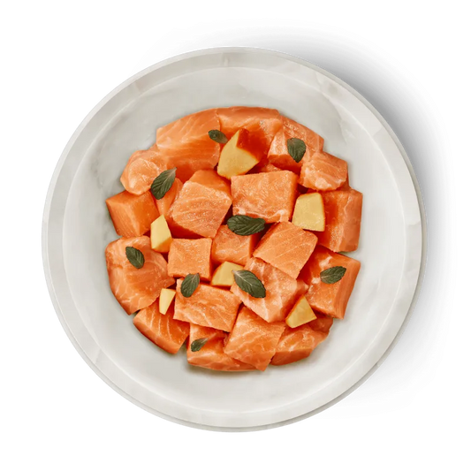 Terra Felis - Salmón 80g