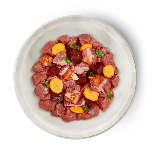 Terra Felis - Bœuf 80g