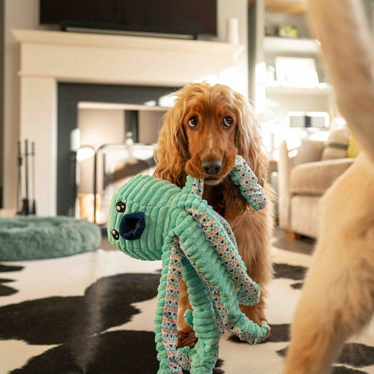 Great&Small - Pulpo Aqua
