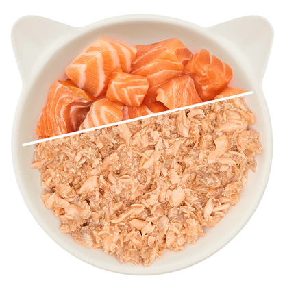 WOW Cat - Filete de Salmón 70gr
