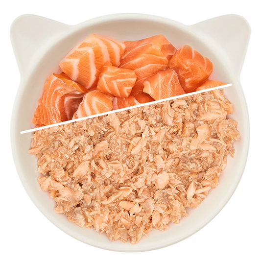 WOW Cat - Filete de Salmón 70gr