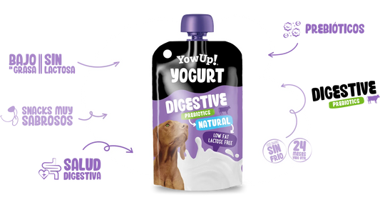 YowUp! - Yogur Digestivo natural para Perros